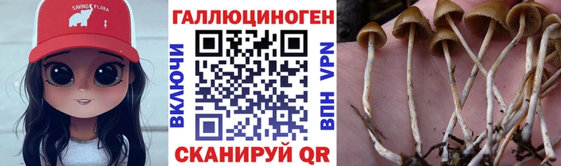 Галлюциногенные грибы прущие грибы  Вельск 
