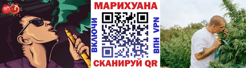 где купить наркоту  Вельск  Шишки марихуана сатива 